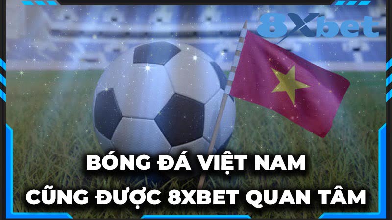 Kết quả bóng đá Việt Nam cũng được 8xbet đặc biệt quan tâm