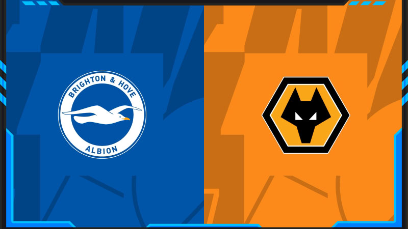 Soi kèo Brighton vs Wolves chi tiết nhất